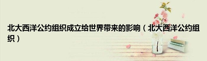 北大西洋公約組織成立給世界帶來的影響（北大西洋公約組織）