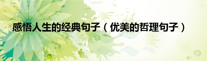 感悟人生的經(jīng)典句子（優(yōu)美的哲理句子）