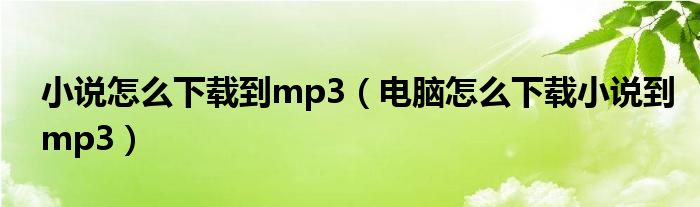 小說(shuō)怎么下載到mp3（電腦怎么下載小說(shuō)到mp3）