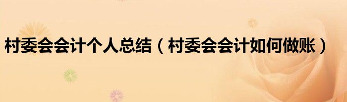 村委會會計個人總結（村委會會計如何做賬）