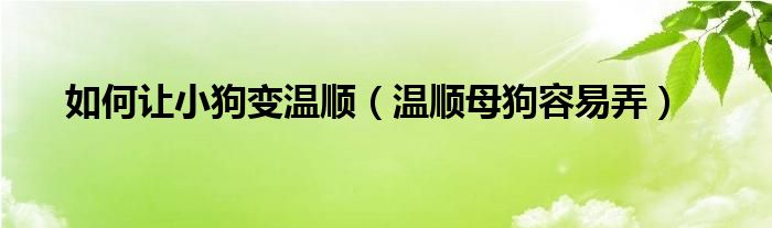 如何讓小狗變溫順（溫順母狗容易弄）