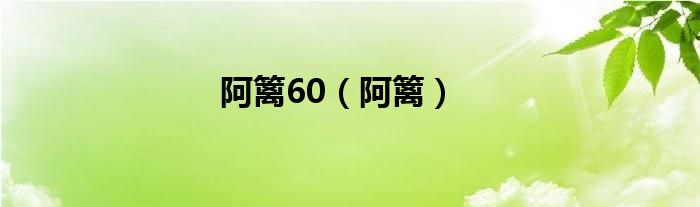 阿籬60（阿籬）