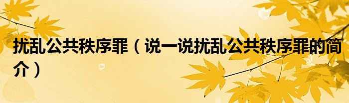 擾亂公共秩序罪（說一說擾亂公共秩序罪的簡介）