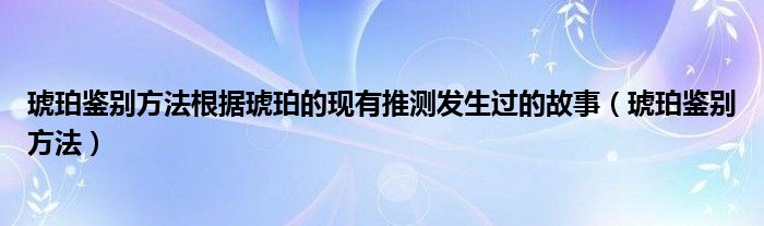 琥珀鑒別方法根據(jù)琥珀的現(xiàn)有推測發(fā)生過的故事（琥珀鑒別方法）