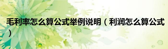 毛利率怎么算公式舉例說明（利潤怎么算公式）