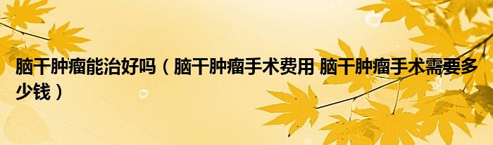 腦干腫瘤能治好嗎（腦干腫瘤手術(shù)費(fèi)用 腦干腫瘤手術(shù)需要多少錢(qián)）