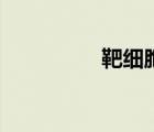 靶細(xì)胞的定義（靶細(xì)胞）