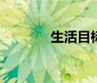 生活目標(biāo)（生活目標(biāo)怎么寫）