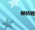 柳橋晚眺譯文（柳橋晚眺）