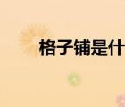 格子鋪是什么模式（格子鋪是什么）