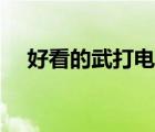 好看的武打電視?。ê每吹奈鋫b電視劇）