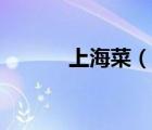 上海菜（說一說上海菜的簡(jiǎn)介）