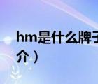 hm是什么牌子（說一說hm是什么牌子的簡介）