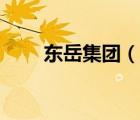 東岳集團(tuán)（說一說東岳集團(tuán)的簡介）