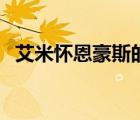 艾米懷恩豪斯的時(shí)尚風(fēng)格（艾米懷恩豪斯）