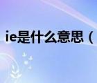 ie是什么意思（說一說ie是什么意思的簡介）