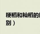 粳稻和秈稻的區(qū)別zip基因（粳稻和秈稻的區(qū)別）