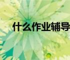 什么作業(yè)輔導(dǎo)軟件好（什么是作業(yè)輔導(dǎo)）