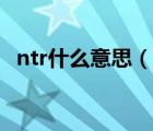 ntr什么意思（說一說ntr什么意思的簡介）