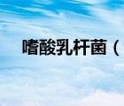 嗜酸乳桿菌（說一說嗜酸乳桿菌的簡介）