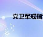 黨衛(wèi)軍戒指復(fù)刻 淘寶（黨衛(wèi)軍戒指）