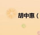胡中惠（說一說胡中惠的簡介）