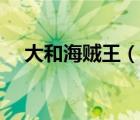 大和海賊王（說(shuō)一說(shuō)大和海賊王的簡(jiǎn)介）