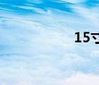 15寸筆記本（1 5寸）