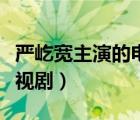 嚴屹寬主演的電視劇有哪些（嚴屹寬主演的電視?。?/>
                                    </a>
                                                </div>
                                    <div   id=