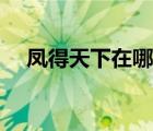 鳳得天下在哪個軟件可以看（鳳得天下）