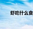 蝦吃什么食物長(zhǎng)大（蝦吃什么食物）