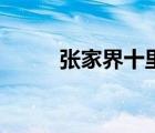 張家界十里畫(huà)廊（張家界金鞭溪）