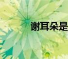 謝耳朵是誰的人（謝耳朵是誰）