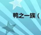 鴨之一族（說一說鴨之一族的簡(jiǎn)介）