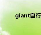 giant自行車配件（giant怎么讀）