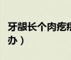 牙齦長(zhǎng)個(gè)肉疙瘩怎么回事（身上長(zhǎng)肉疙瘩怎么辦）