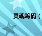 靈魂籌碼（說(shuō)一說(shuō)靈魂籌碼的簡(jiǎn)介）