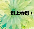 樹上春樹（說一說樹上春樹的簡介）