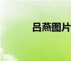 呂燕圖片大全大圖（呂燕圖片）