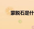 蒙脫石是什么巖石（蒙脫石是什么）