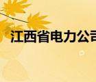 江西省電力公司招標(biāo)網(wǎng)（江西省電力公司）