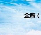 金鷹（說一說金鷹的簡介）