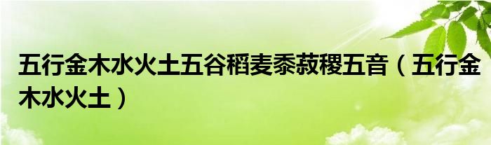 五行金木水火土五谷稻麥黍菽稷五音（五行金木水火土）