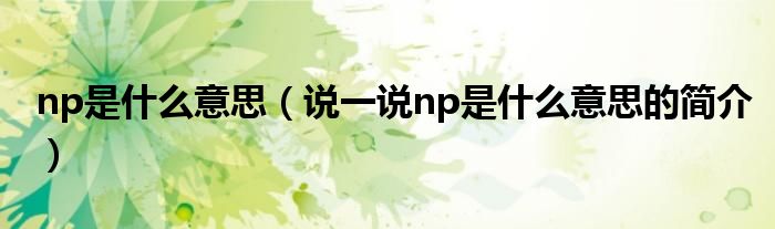 np是什么意思（說一說np是什么意思的簡介）