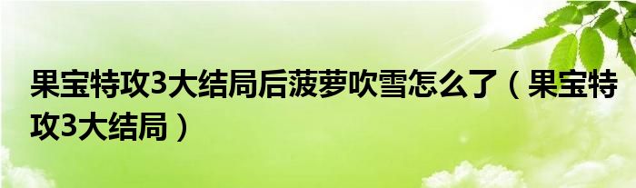 果寶特攻3大結(jié)局后菠蘿吹雪怎么了（果寶特攻3大結(jié)局）