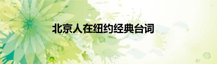 北京人在紐約經(jīng)典臺(tái)詞