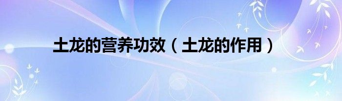 土龍的營養(yǎng)功效（土龍的作用）