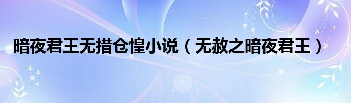 暗夜君王無(wú)措倉(cāng)惶小說(shuō)（無(wú)赦之暗夜君王）