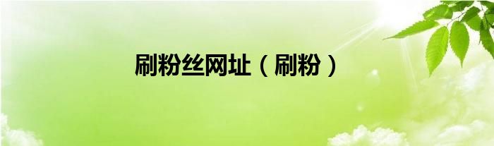 刷粉絲網(wǎng)址（刷粉）
