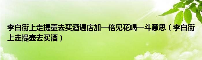 李白街上走提壺去買酒遇店加一倍見花喝一斗意思（李白街上走提壺去買酒）